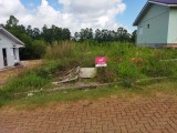 Lote 06 - 360,00 m&sup2; - Bairro Canabarro - Teut&ocirc;nia/RS